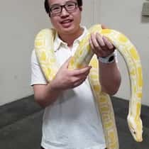 thaichu