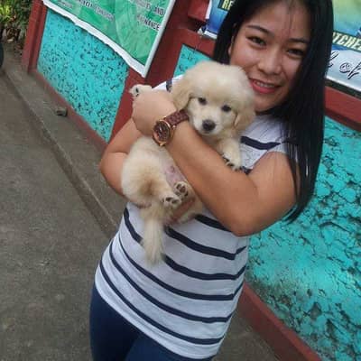 cheng chang