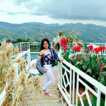 antonette