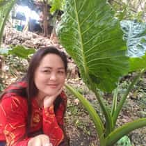 Scarlene