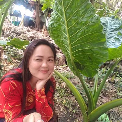 Scarlene