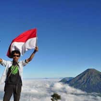 widi