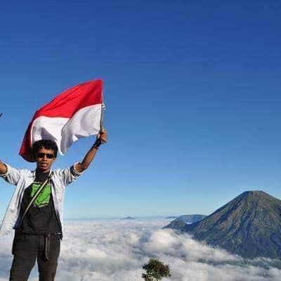 widi