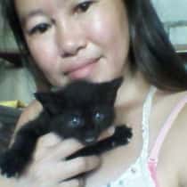 Wl lng