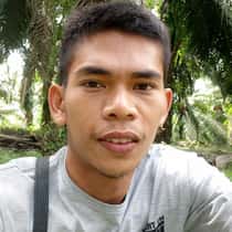 Dazi purba