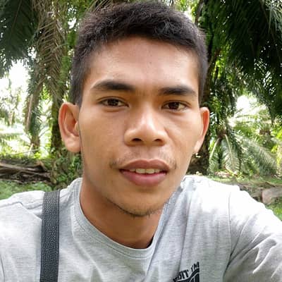 Dazi purba