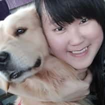 Dessy huen khow