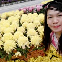 Mayang