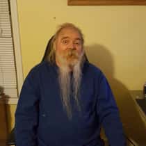 walrus