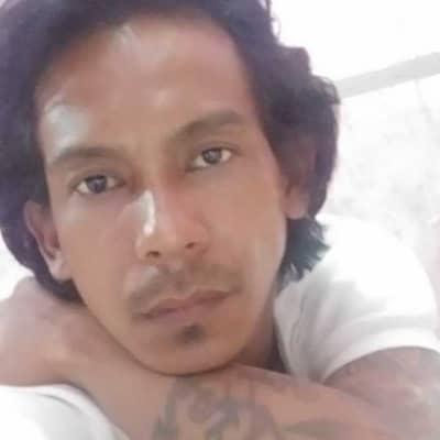 Roy aja