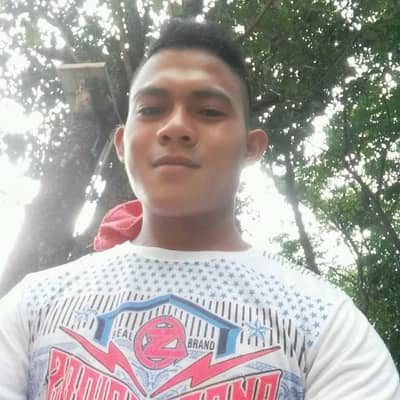 mac noli