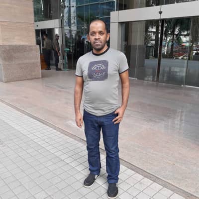 Alimul
