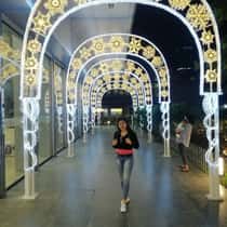 Ganilyn U. Barizo