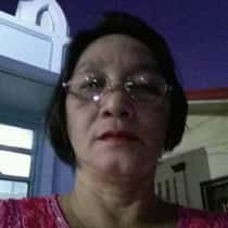 Jovy falcon