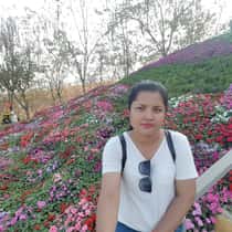 Sodany