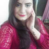 Mah gull