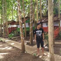 Zhul mamonto
