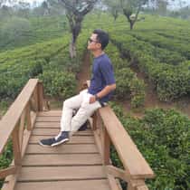 rendy