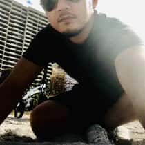 leemark08