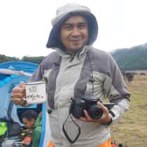 Tongol