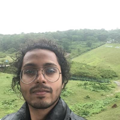 Partha S Roy