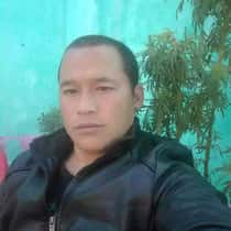 Season mangol