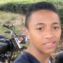 Ardi
