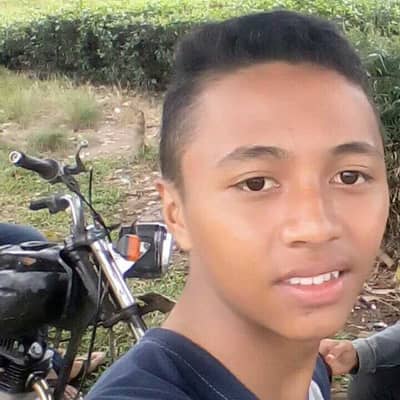 Ardi