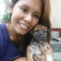 Wenz