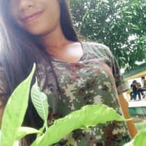 Chel