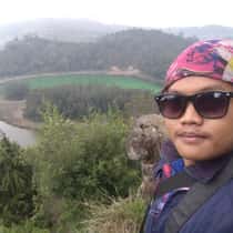 Azis