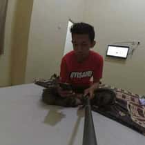 Fian