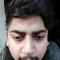 Shubhaminsa