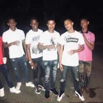 maelviis