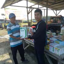 Upi
