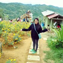 Marlia