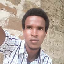 Feisal