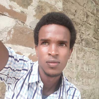 Feisal