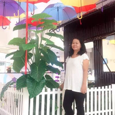 nimyint
