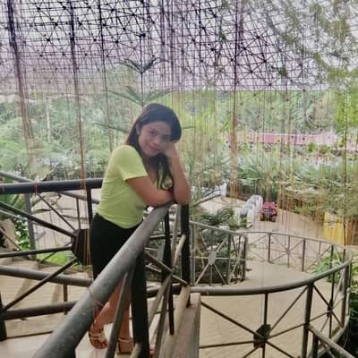 Tine