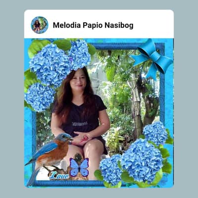 Melodia