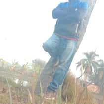 Denes john