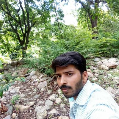 Saran