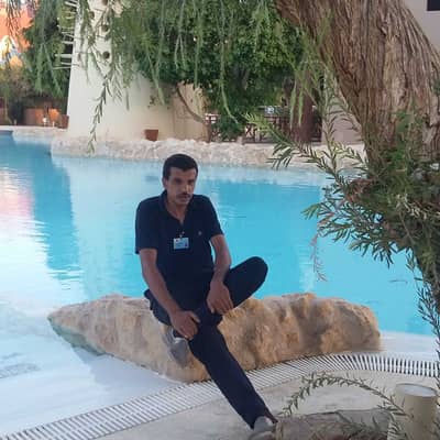 رضا