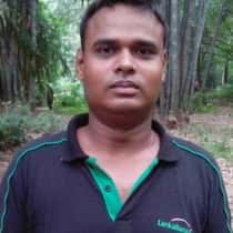 Rana