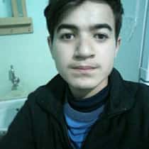 Hamo