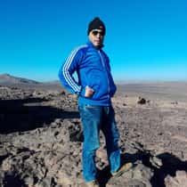 kamel