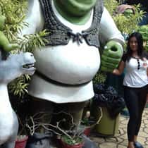 Keng