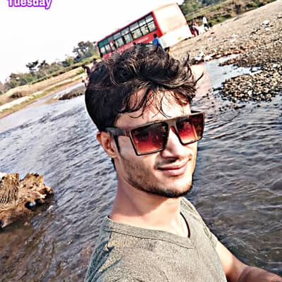 Hasib