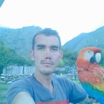 CARVID